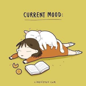 Meet your Posher, Thi hanh nguyen